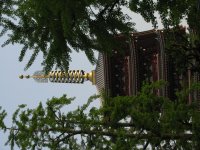 IMG_0815.JPG